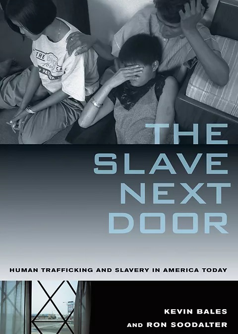 the slave next door book cover